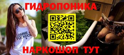 гашик Балашиха