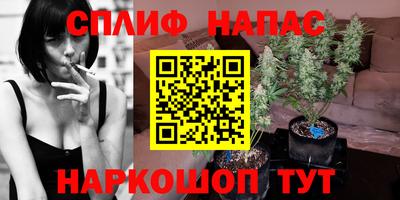 гашик Балашиха